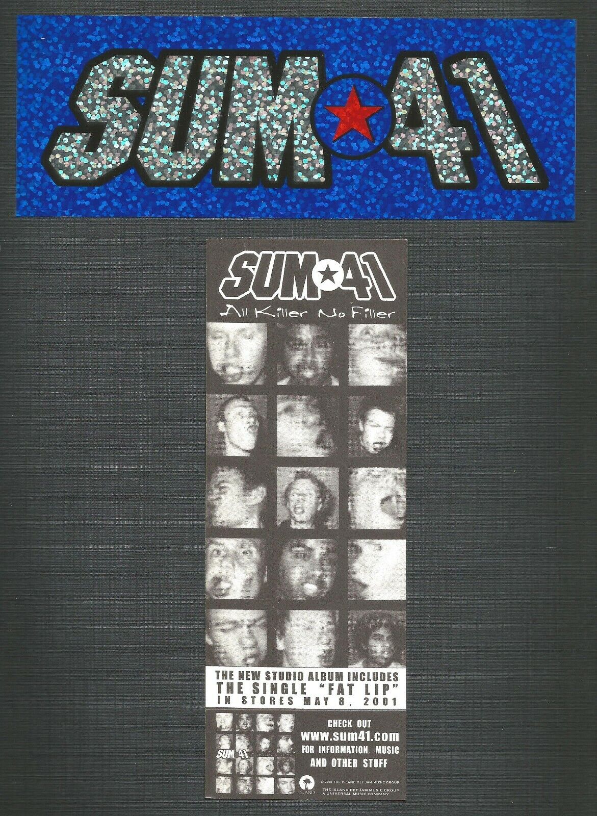 Sum 41 Vintage 2003 Promo Vinyl Glittler Sticker Decal App 7x3 For Killer Cd